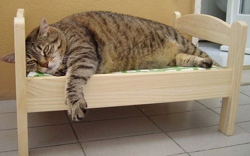 Кровать для кота