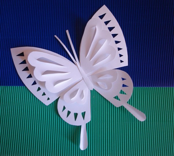 Бумагопластика: белая бабочка
