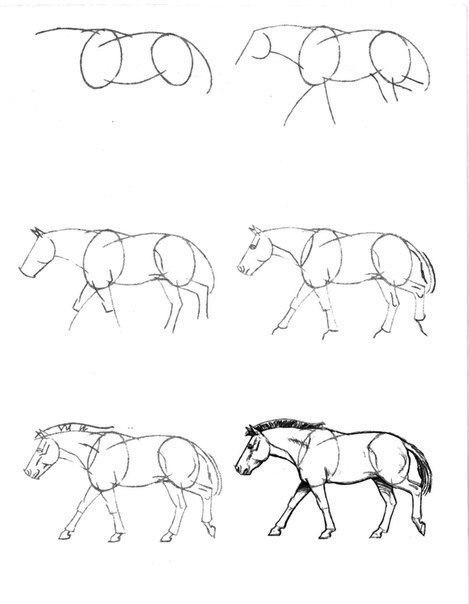 Рисуем лошадей