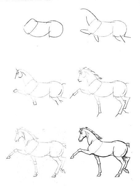 Рисуем лошадей