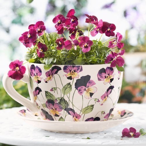 Цветы в чашках-милое и оригинальное украшение интерьера