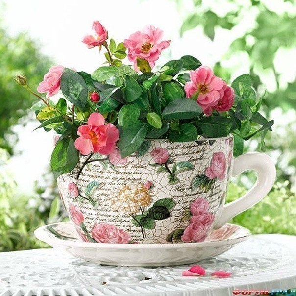 Цветы в чашках-милое и оригинальное украшение интерьера