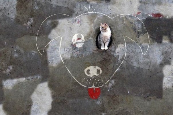 Уличный художник из Пензы Алексей Меньшиков создает забавные и умные стрит-арт-объекты