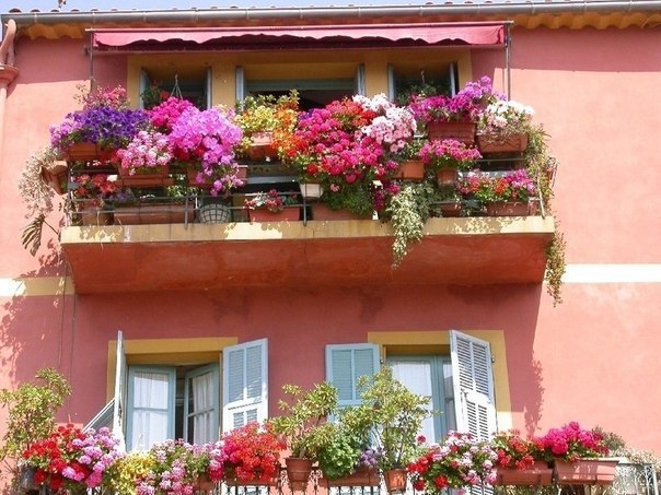 Цветочные балконы