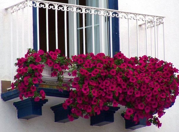 Цветочные балконы