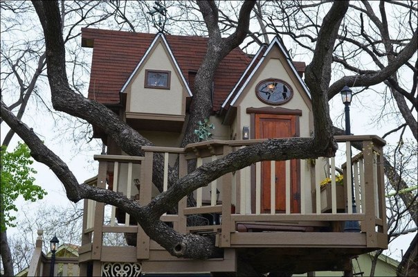 Дом на дереве.