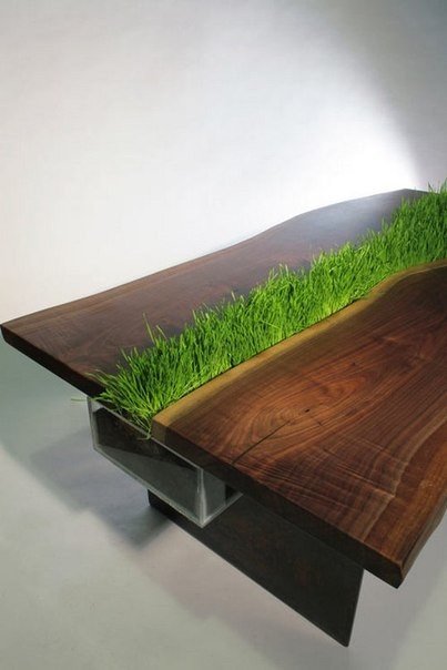 Необычный стол с мини-лужайкой