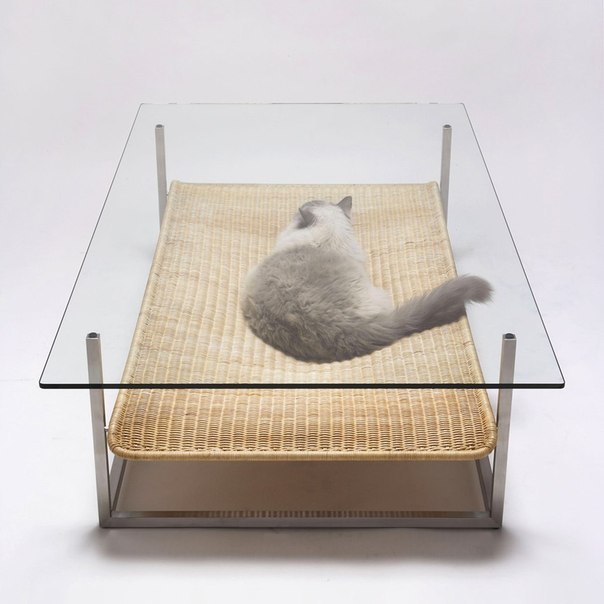 Если у вас в доме есть кот, то вам несомненно придется по душе этот дизайнерский стол от Koichi Futatsumata из Case-Real. 