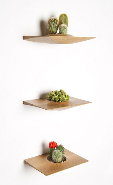Полки для растений от дизайнера Domenic Fiorello.