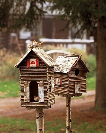 Необычные домики для птиц