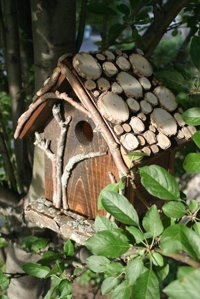 Необычные домики для птиц