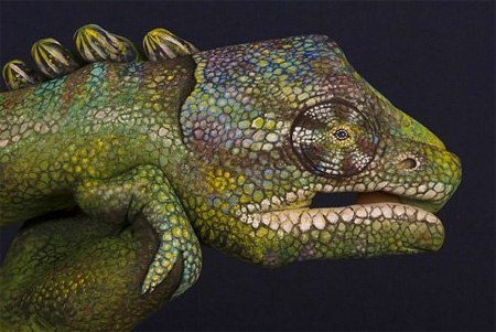Работы итальянского художника Гвидо Даниэле. Человеческие руки с помощью краски превращаются в фигуры птиц, зверей или сказочных персонажей.