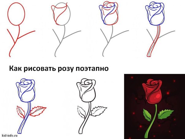 Рисуем розы