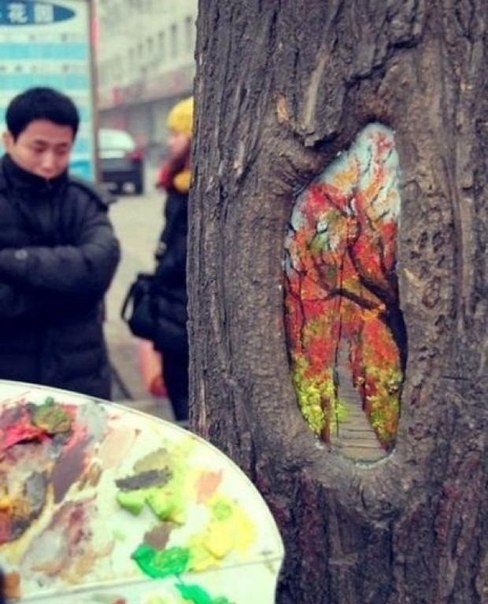 Молодая художница Wang Yu из Китая рисует картины, используя дупла деревьев вместо холста