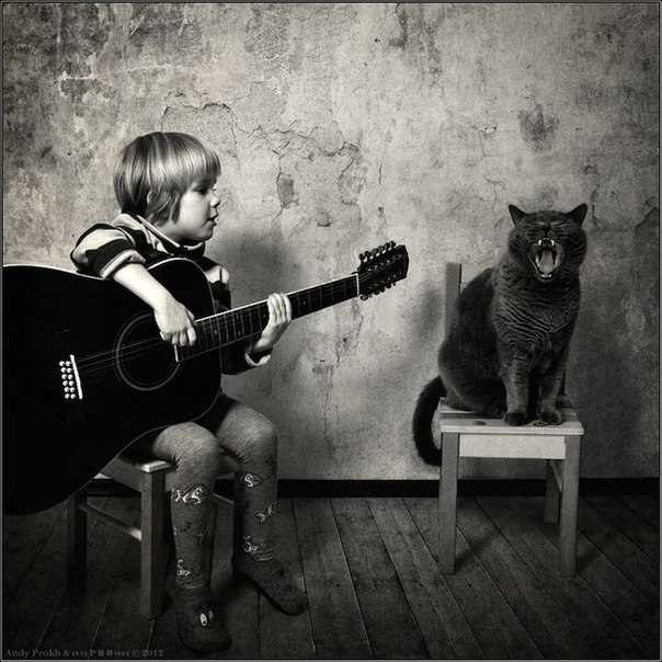 Трогательные фотографии о дружбе девочки и её кота от фотографа Энди Проха