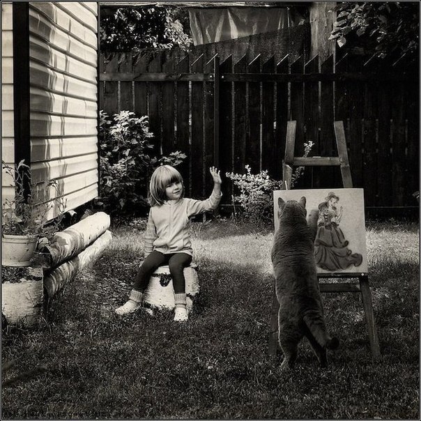 Трогательные фотографии о дружбе девочки и её кота от фотографа Энди Проха