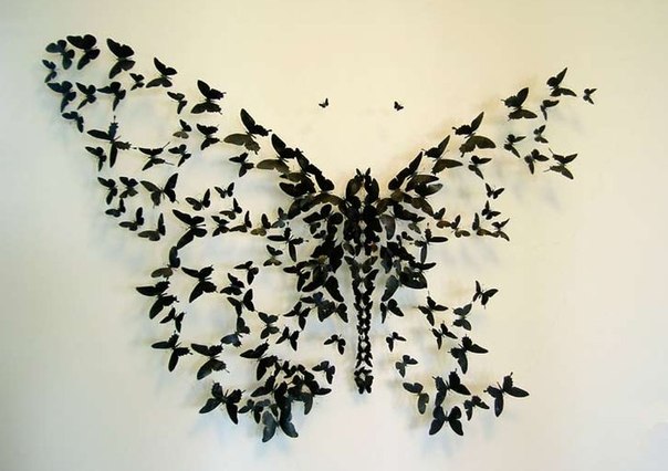 Бабочки в интерьере