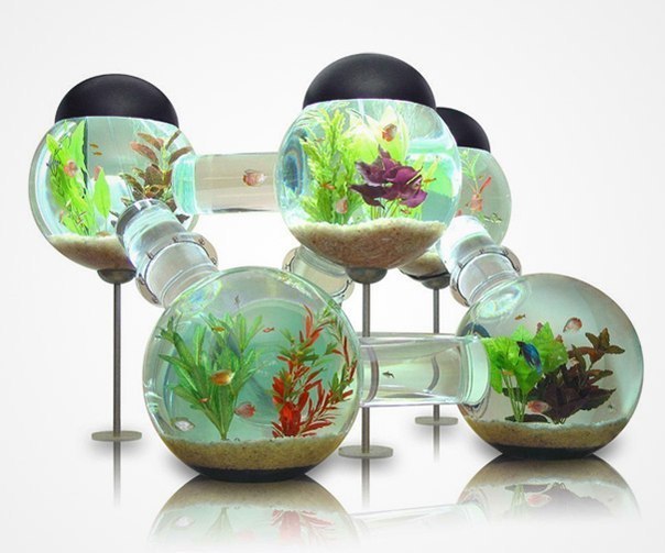Классный аквариум для рыб