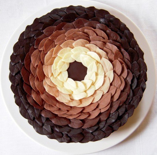 Идея оформления торта при помощи листьев (просто наносим шоколад тонким слоем на листья и ждем пока застынет)