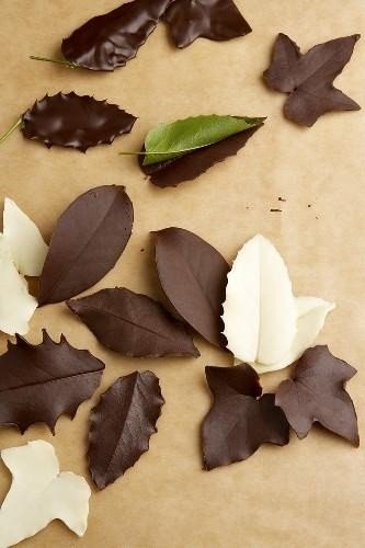 Идея оформления торта при помощи листьев (просто наносим шоколад тонким слоем на листья и ждем пока застынет)