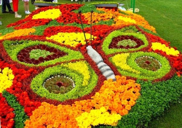 Скульптуры из цветов, сделанные в Голландии.